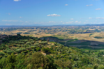 Rural landscape near Montalcino,Siena, Tuscany