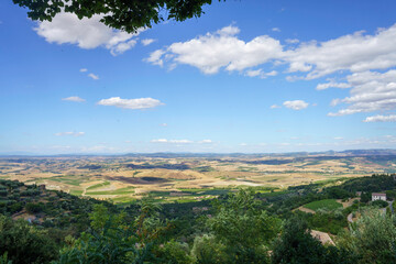 Obraz premium Rural landscape near Montalcino,Siena, Tuscany