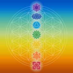 Fototapeta premium Chakras over flower of life symbol. Symbols for spa, meditation and yoga. Mystical and esoteric icons.