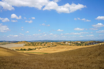 Obraz premium Rural landscape in Val d Orcia, Tuscany, Italy