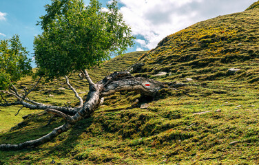 Beautiful nature of the Caucasus Mountains in Georgia