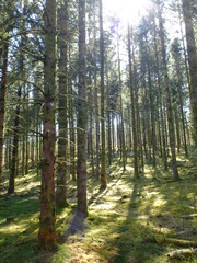 autour du Lac Vassivière