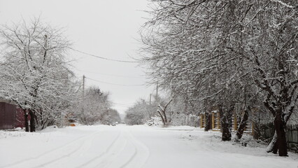 Snow covered trees on empty snowy road after snowfal in Europe - rustic winter landscape