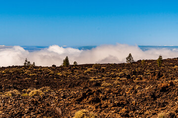 Obraz premium Paisaje con árboles y nubes en el Parque Nacional del Teide, isla de Tenerife