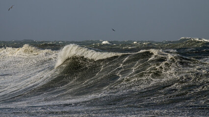 Stormy breaking wave