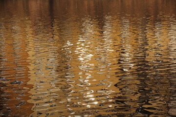 Water reflection golden color