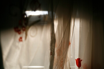 Light sheer curtains with a floral pattern