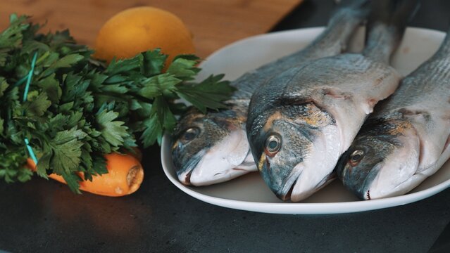 Preparing a chilled fresh whole raw gilt-head bream for cooking. Seafood concept. High quality photo