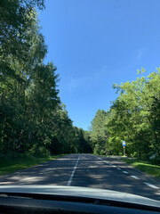 Vertical shot of an asphalt road surrounded by lush nature on blue sky background
