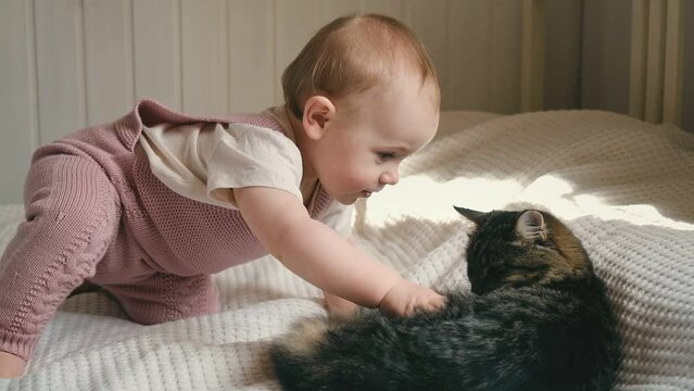 Baby girl with a tabby cat lies on a white bed. Cute little girl is stroking a gray cat while lying on a white sheet. Children and domestic animals friendship concept.