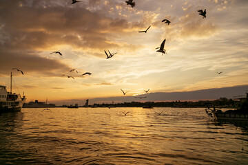 Naklejka na ściany i meble amazing sky and sunset. seagulls and bird are flying