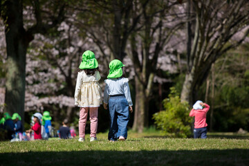 春の公園で遊んでいる保育園の子供達の姿と満開の桜の風景