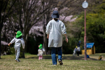 桜満開の公園で遊んでいる保育園の子供達と先生の姿 - obrazy, fototapety, plakaty