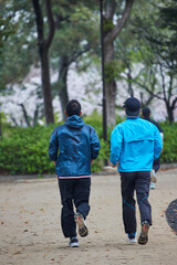 Fototapeta premium 春の桜満開の公園でジョギングしている男性