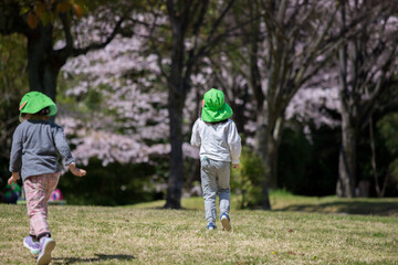 春の公園で遊んでいる保育園の子供達の姿と満開の桜の風景