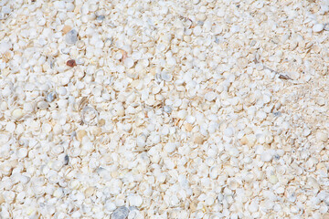 Muschelstrand Australien