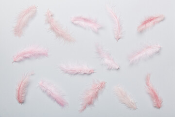 Close up to bright colorful feathers background. Colored feather background, top view