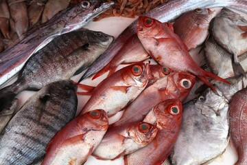 Fish market in Essaouira, Morocco