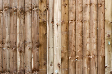 Feather edge fencing, A brand new close boarded garden fence background