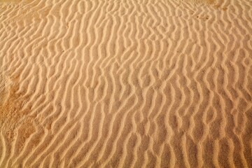 Sand dunes desert texture