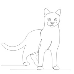 cat drawing in one continuous line, isolated