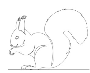 squirrel drawing in one continuous line, isolated vector
