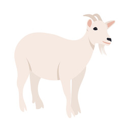 goat flat design, isolated, vector