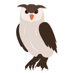 owl flat design, isolated, vector