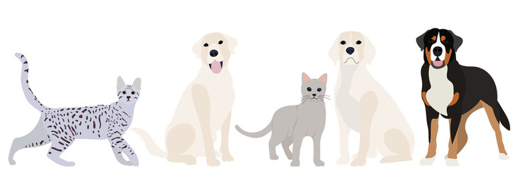 cats and dogs flat design, isolated, vector