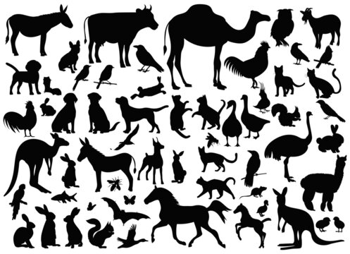 animals and birds set black silhouette, isolated vector