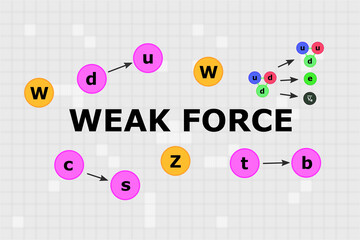 Text "Weak force" in the middle with W and Z bosons, neutron to proton change, and single quarks change around it.