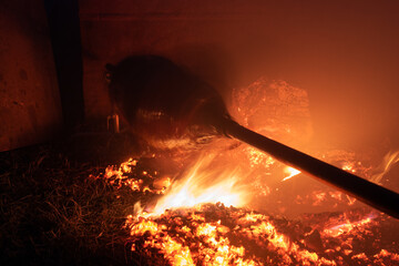Silhouette of whole pig spinning on a spit above fire ember in heat and smoke at night in long...