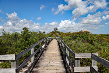 Fototapeta na wymiar The Hobe Mountain observation tower at Jonathon Dickinson State Park in South Florida.