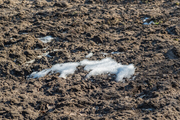 Remains of snow lie on the arable land, early spring