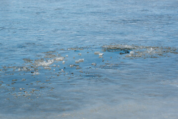 Melting ice on the lake in early spring