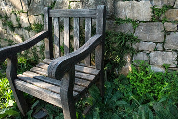 wooden bench in the park