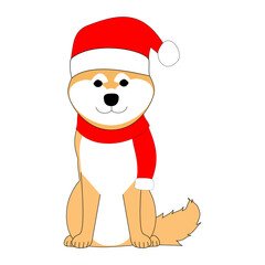 Shiba Inu in Santa clause hat and knit with white background