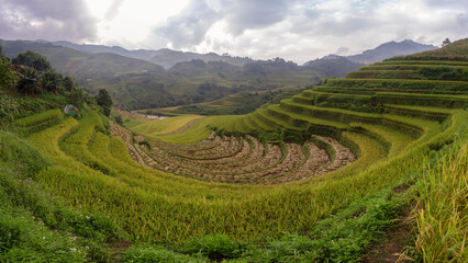 Green terraced rice fields in rainy season at Mu Cang Chai, Vietnam