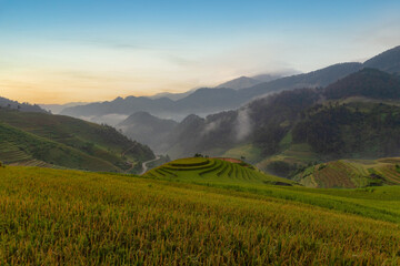 Obraz premium Green terraced rice fields in rainy season at Mu Cang Chai, Vietnam