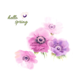 Computer drawn flower illustration. Watercolor Flowers.Manual composition.Big Set watercolor elements.