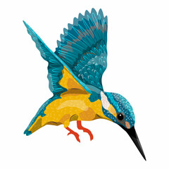The kingfisher flies down. Wild birds of Eurasia and North America. Realistic vector bird