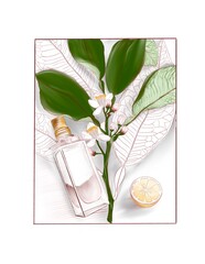 Hand drawn glass perfume bottle with lemon or neroli scent.