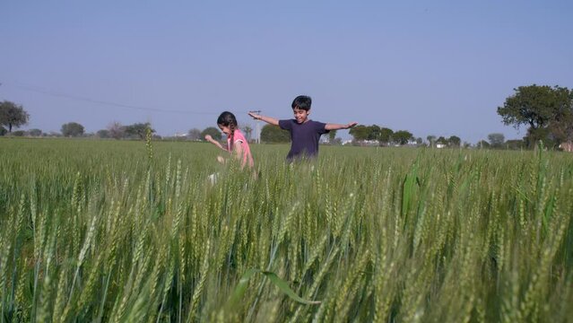 A farmer's adorable son and daughter running and playing in the agricultural field. Cheerful siblings from a village enjoying together field - Indian village