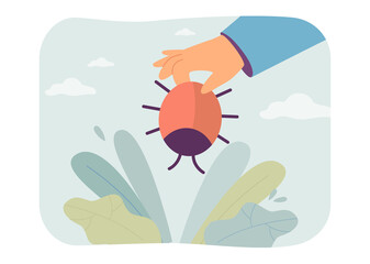 Hand holding harmful bug flat vector illustration. Dangerous beetle or pest for plants. Damage, problem, protection, prevention concept for banner, website design or landing web page