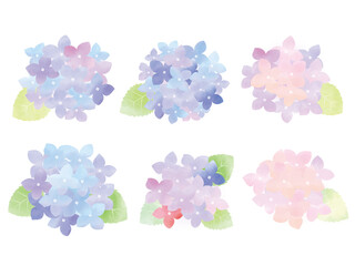 水彩で描いた紫陽花のイラスト
