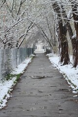 path in winter