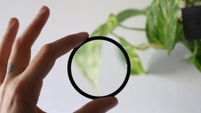 lente fotograf&iacute;a 