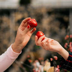 two girls have egg tapping with red easter eggs in front off easter table. spring religious tradition