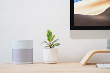Variegated rubber fig plant in white ceramic pot place between monitor and silver colour wireless speaker on wooden table. Minimalism table top setup
