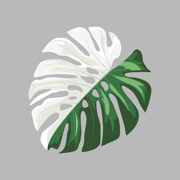 faux philodendron plant Nearly Natural Large Leaf Philodendron Silk Plant (Real Touch) main image 0